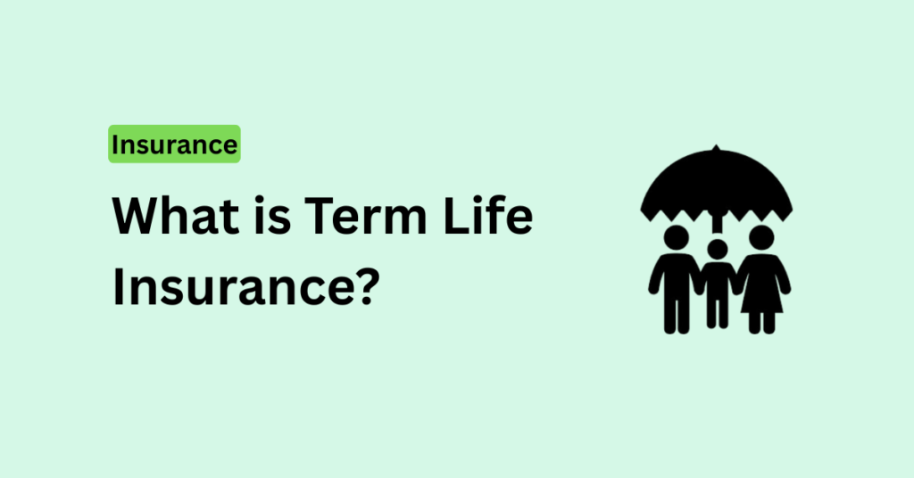 Term Life Insurance